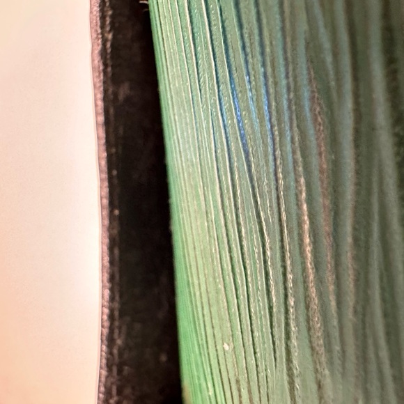 Louis Vuitton Retired Saint Cloud Green Epi PM Crossbody Bag + LV Dust Bag + COA - Picture 11 of 16